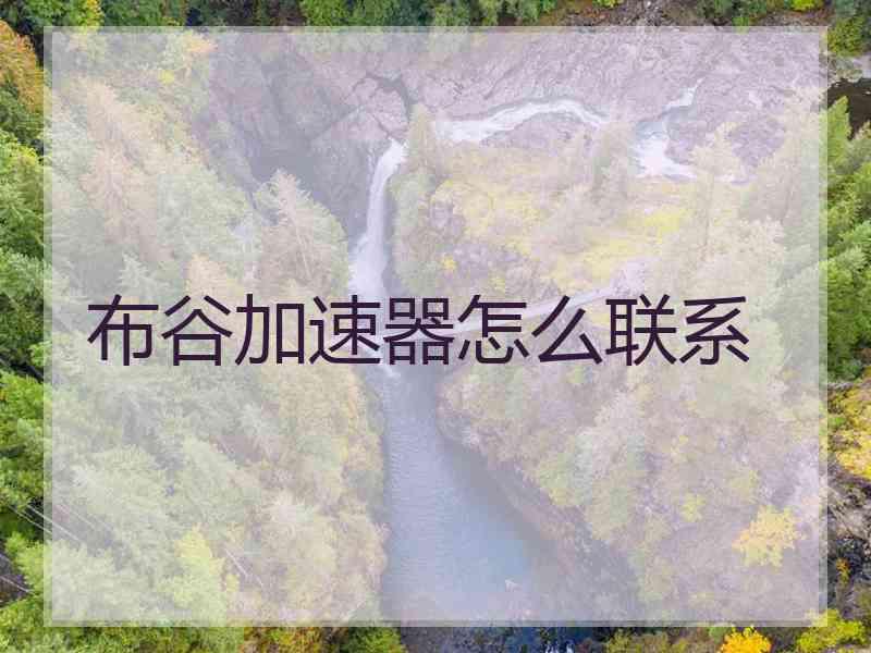 布谷加速器怎么联系