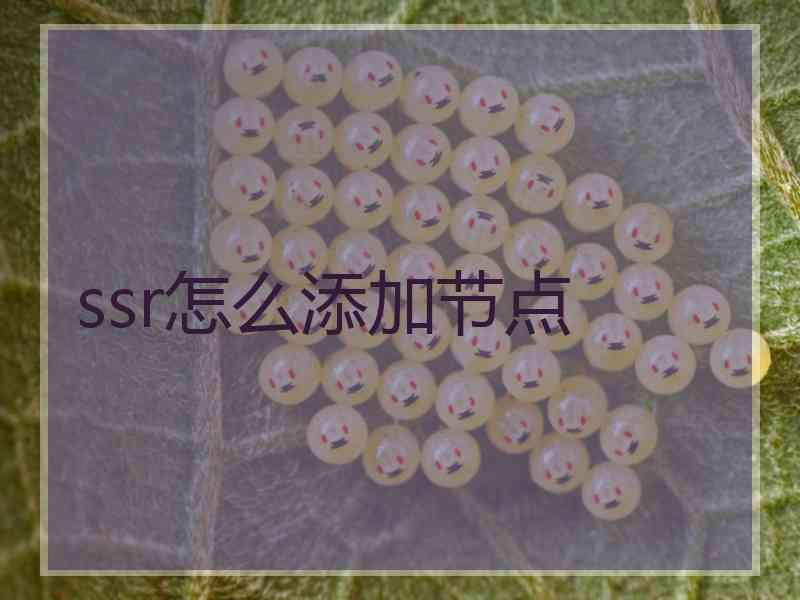 ssr怎么添加节点