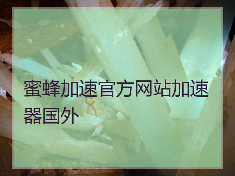 蜜蜂加速官方网站加速器国外