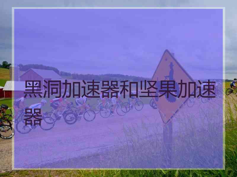 黑洞加速器和坚果加速器