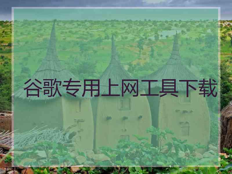 谷歌专用上网工具下载