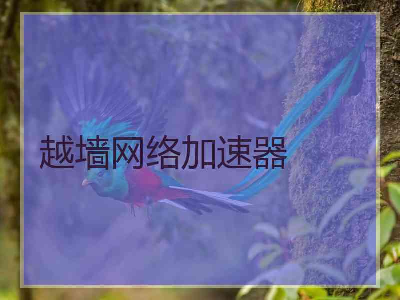 越墙网络加速器