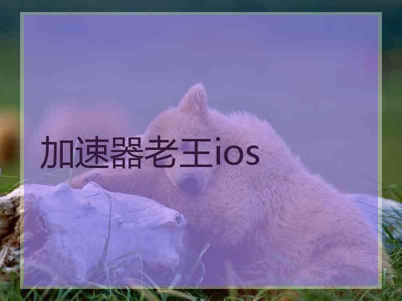 加速器老王ios