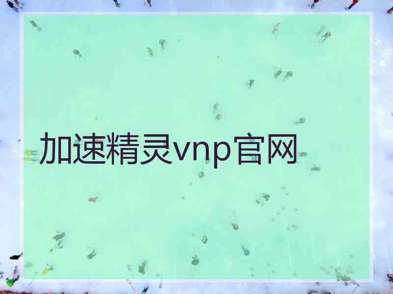 加速精灵vnp官网