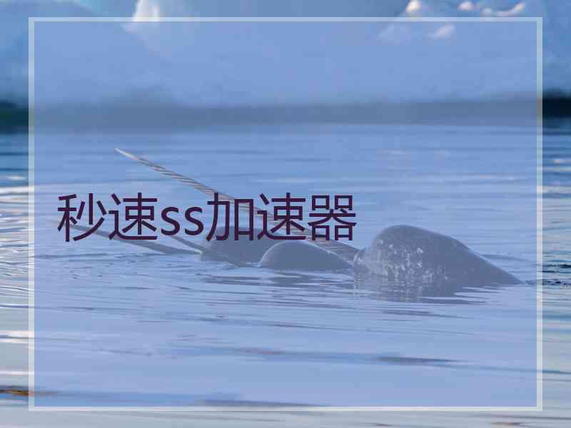 秒速ss加速器