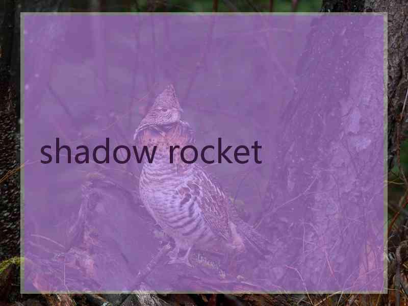 shadow rocket