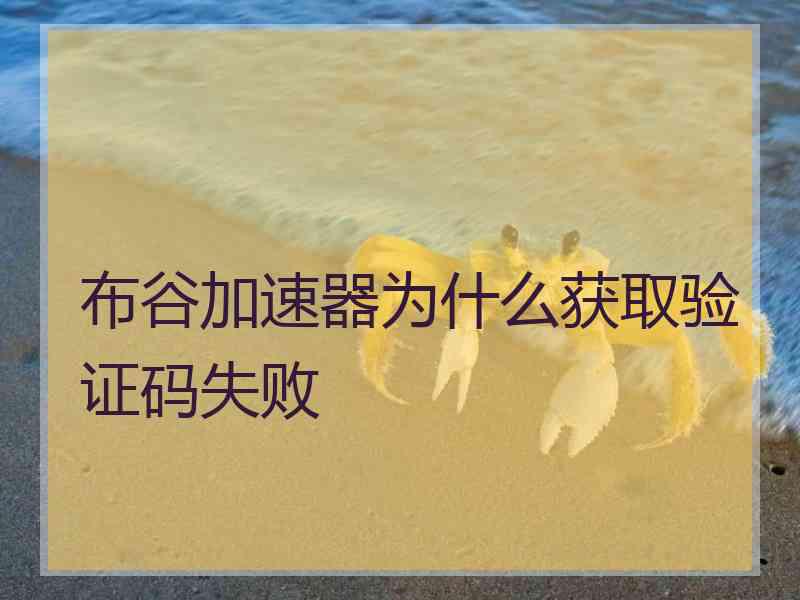 布谷加速器为什么获取验证码失败