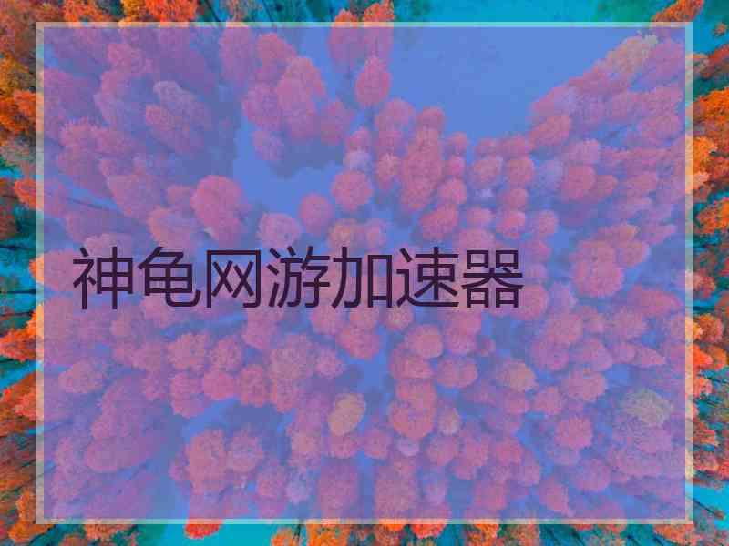 神龟网游加速器