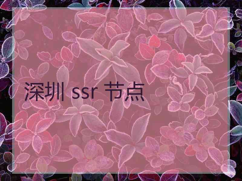 深圳 ssr 节点