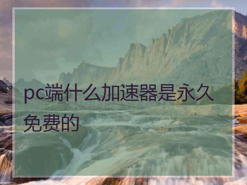 pc端什么加速器是永久免费的