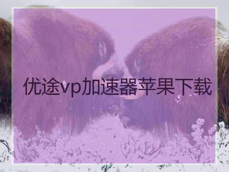 优途vp加速器苹果下载