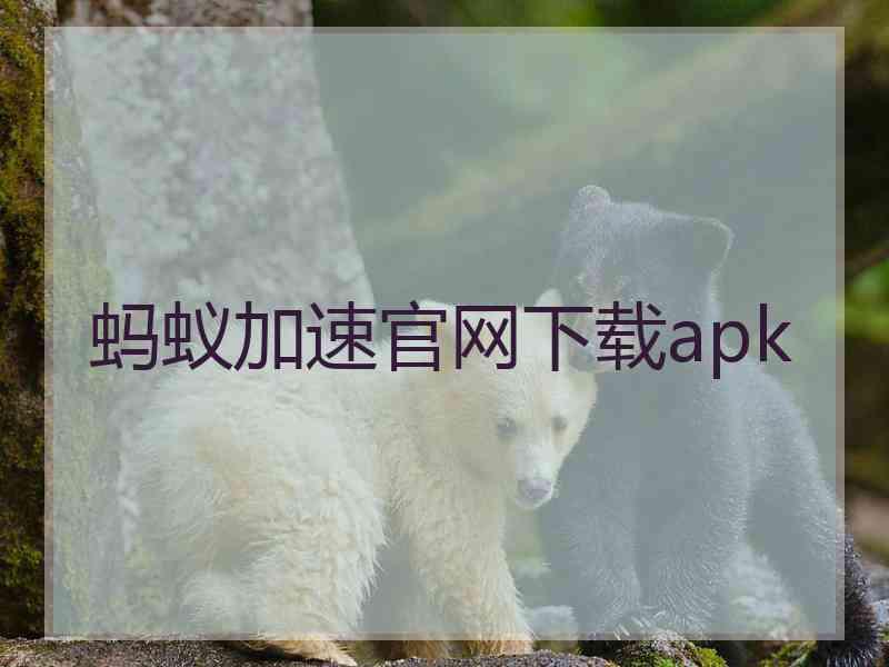 蚂蚁加速官网下载apk