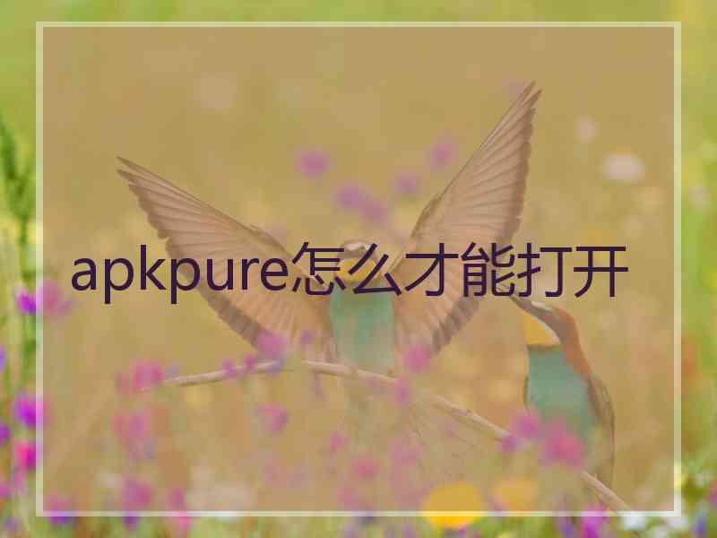 apkpure怎么才能打开