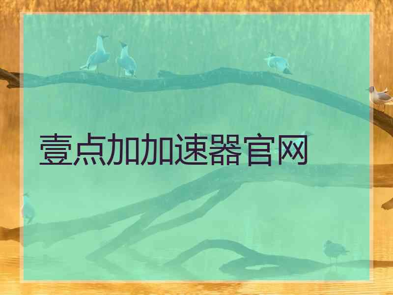 壹点加加速器官网