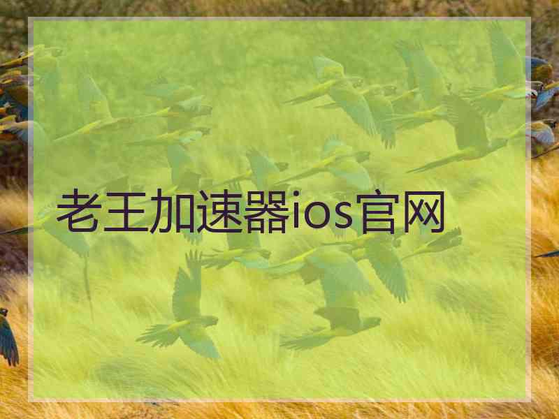 老王加速器ios官网
