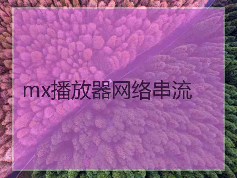 mx播放器网络串流