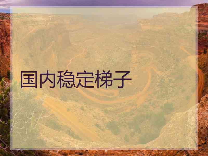 国内稳定梯子
