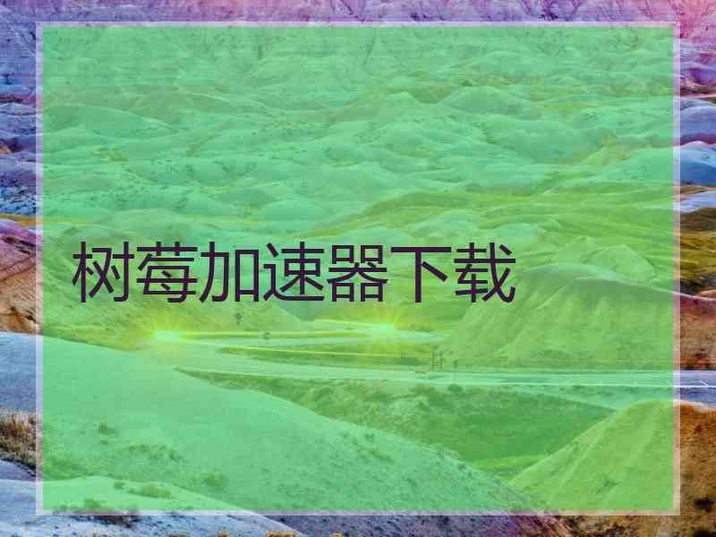 树莓加速器下载
