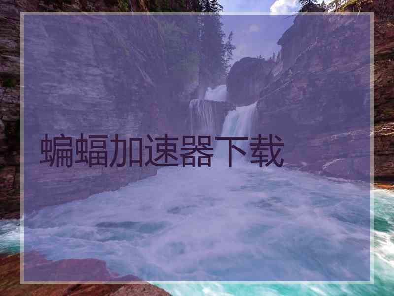 蝙蝠加速器下载