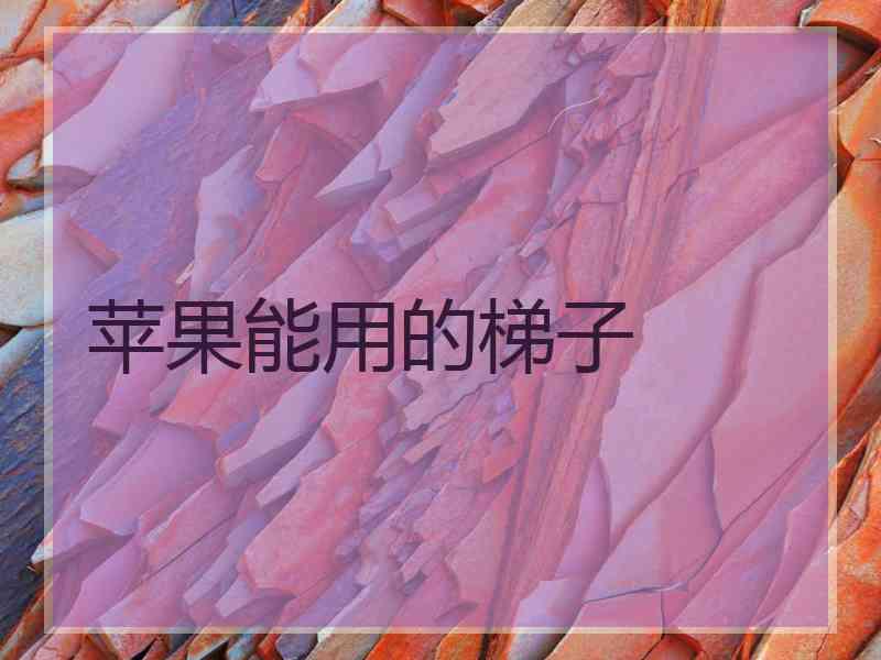 苹果能用的梯子