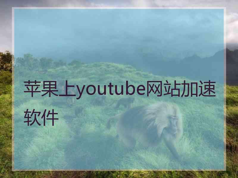 苹果上youtube网站加速软件