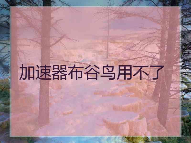 加速器布谷鸟用不了