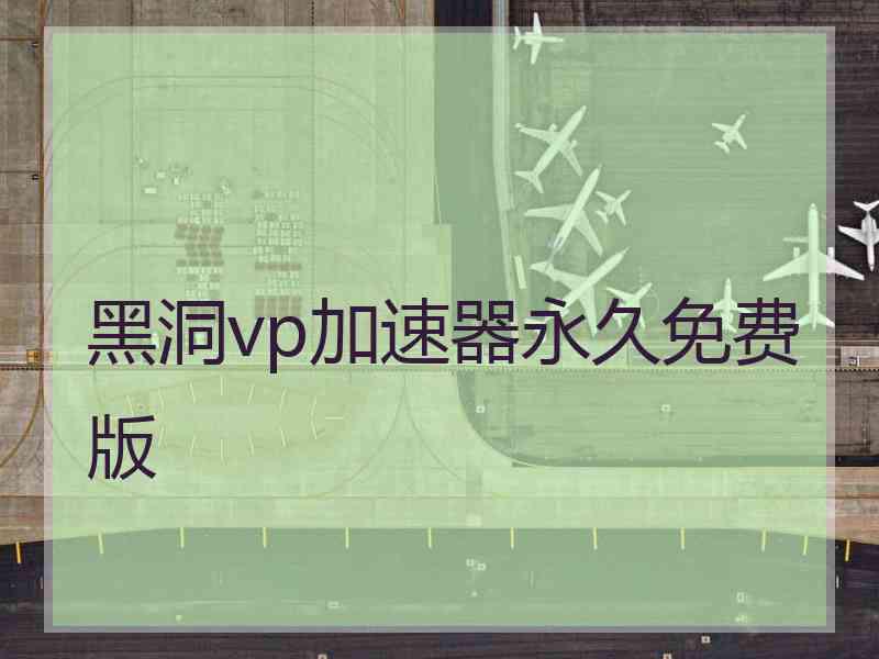 黑洞vp加速器永久免费版