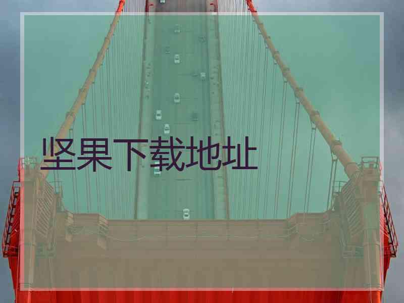 坚果下载地址