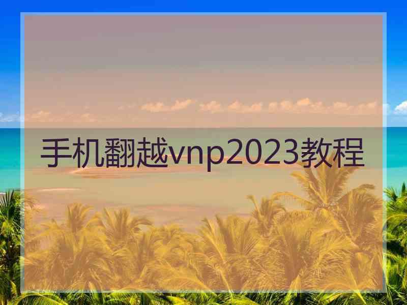 手机翻越vnp2023教程