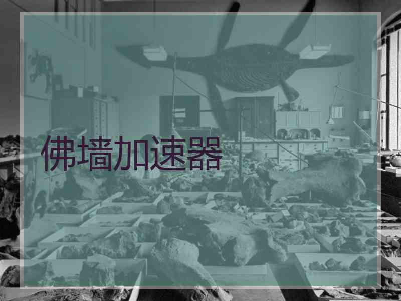 佛墙加速器