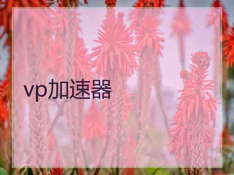 vp加速器