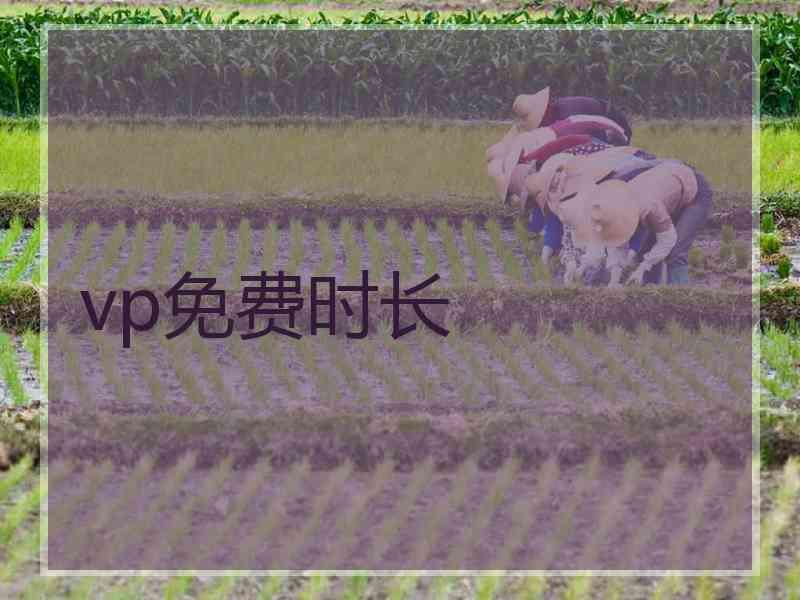 vp免费时长