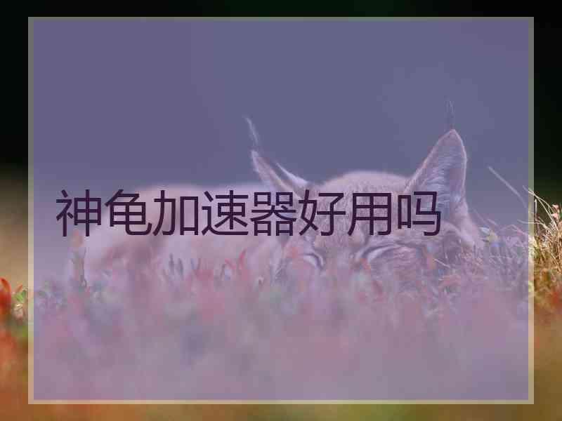 神龟加速器好用吗