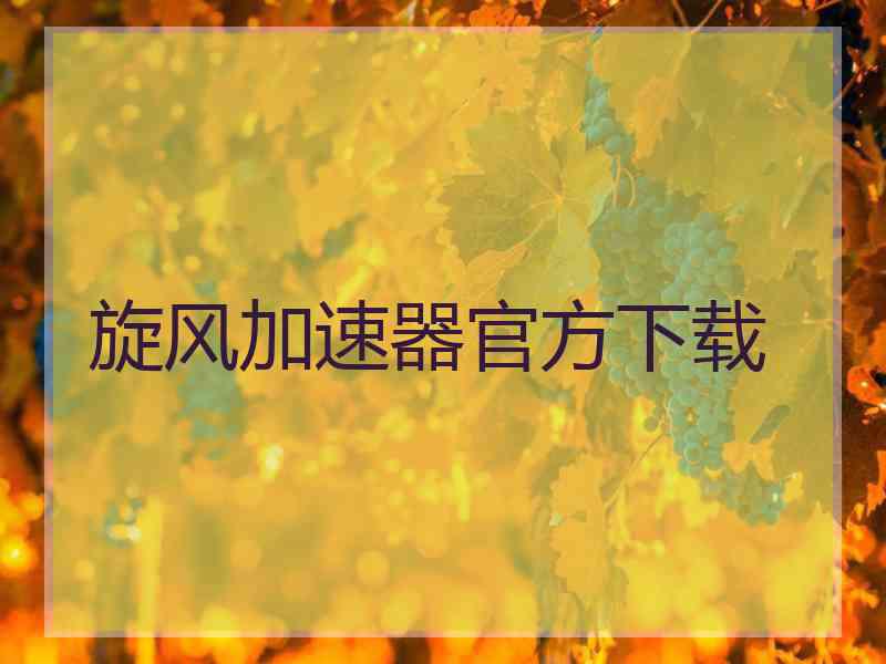 旋风加速器官方下载