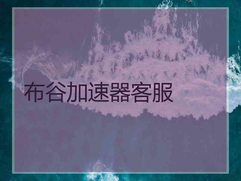 布谷加速器客服