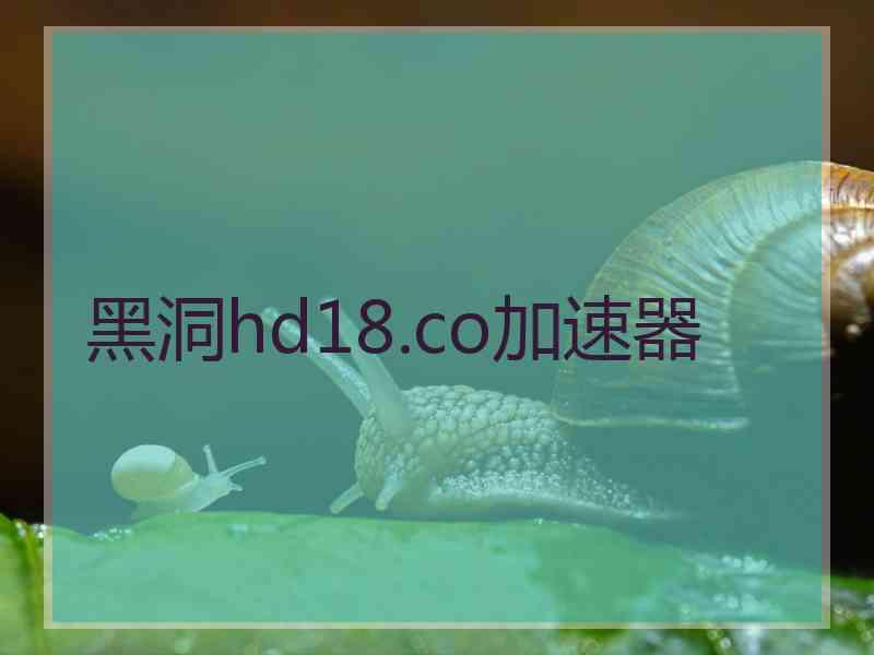 黑洞hd18.co加速器