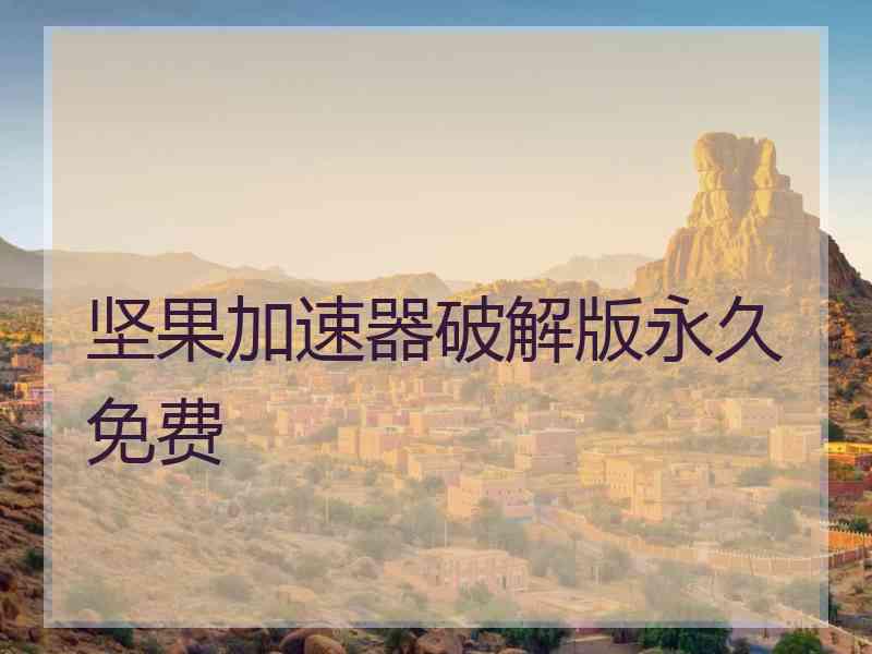坚果加速器破解版永久免费