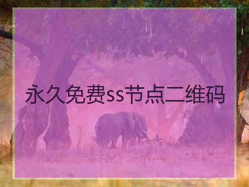 永久免费ss节点二维码