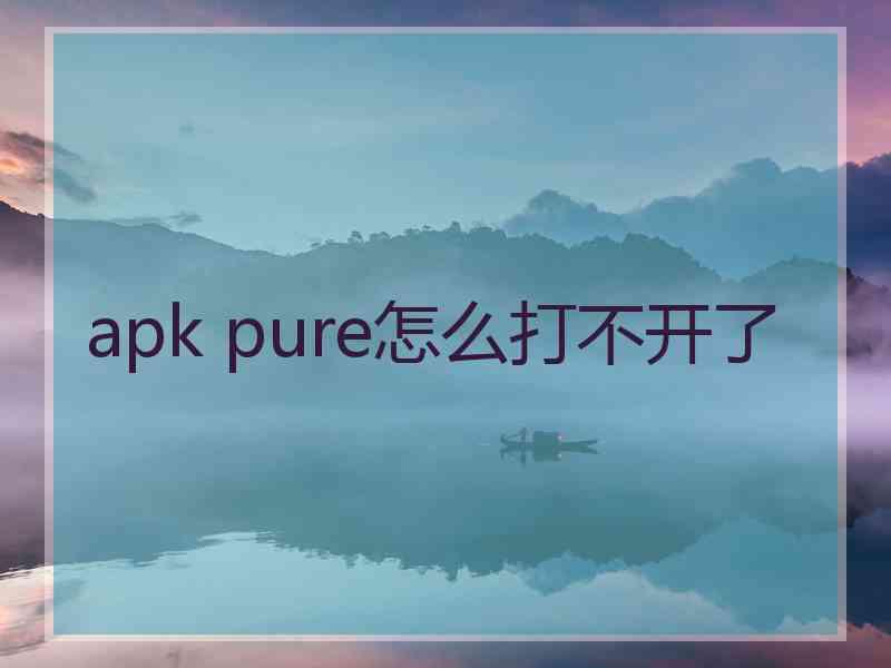 apk pure怎么打不开了