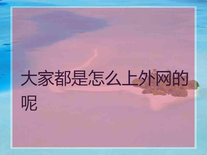 大家都是怎么上外网的呢