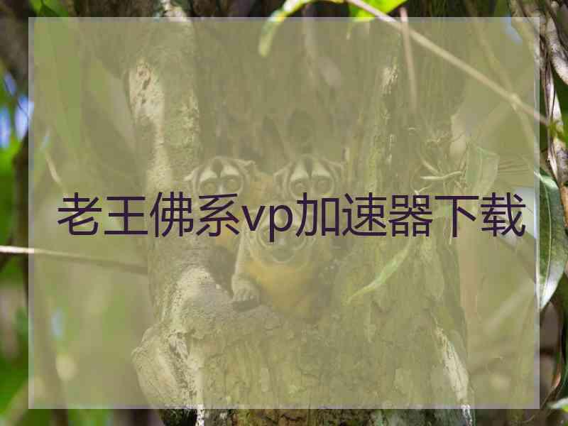 老王佛系vp加速器下载
