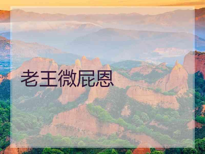 老王微屁恩