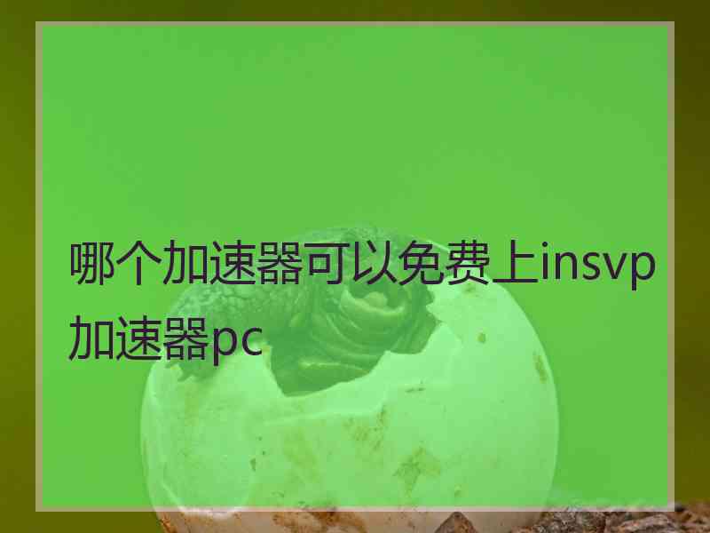 哪个加速器可以免费上insvp加速器pc