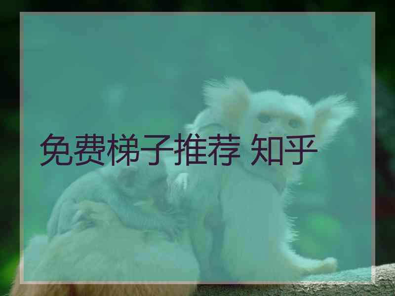 免费梯子推荐 知乎