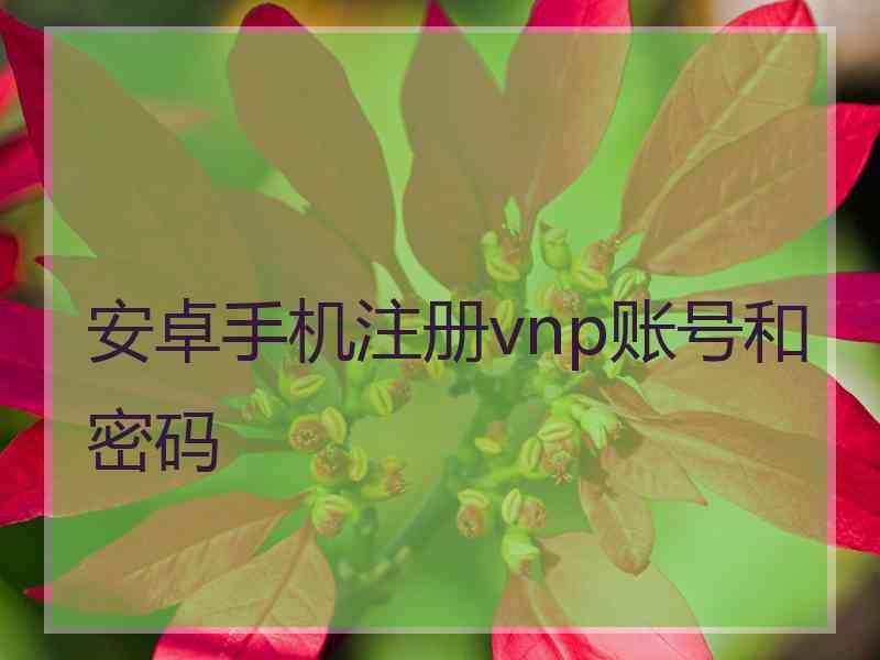 安卓手机注册vnp账号和密码