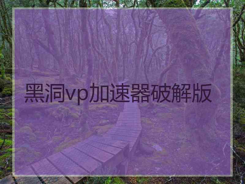 黑洞vp加速器破解版