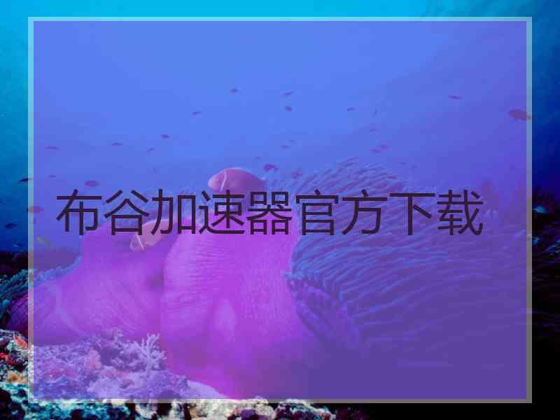 布谷加速器官方下载