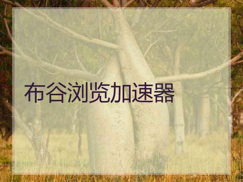 布谷浏览加速器