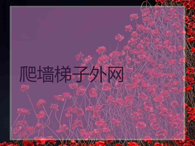 爬墙梯子外网