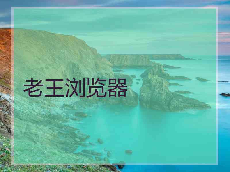 老王浏览器
